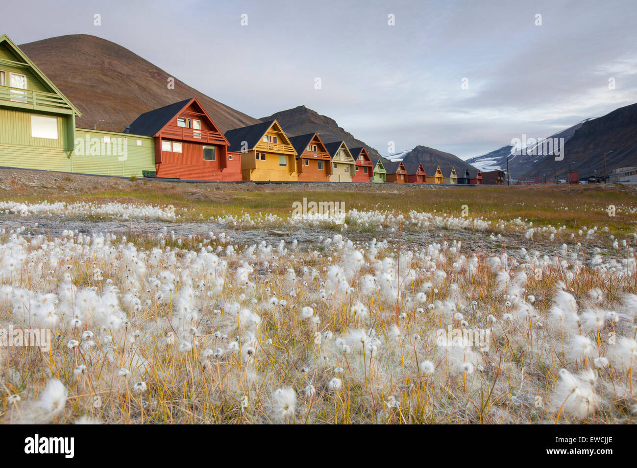 Settlement Longyearbyen. Svalbard. Windows of houses reflecting the