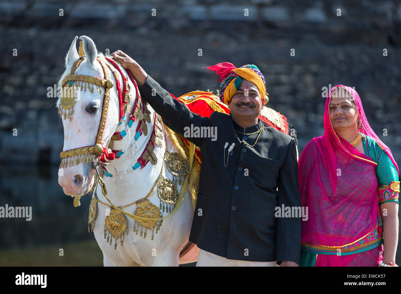 Marwari Horse. Dominant white horse decorated in gold, silver and jewels with its proud owners. Rajasthan, India Stock Photo