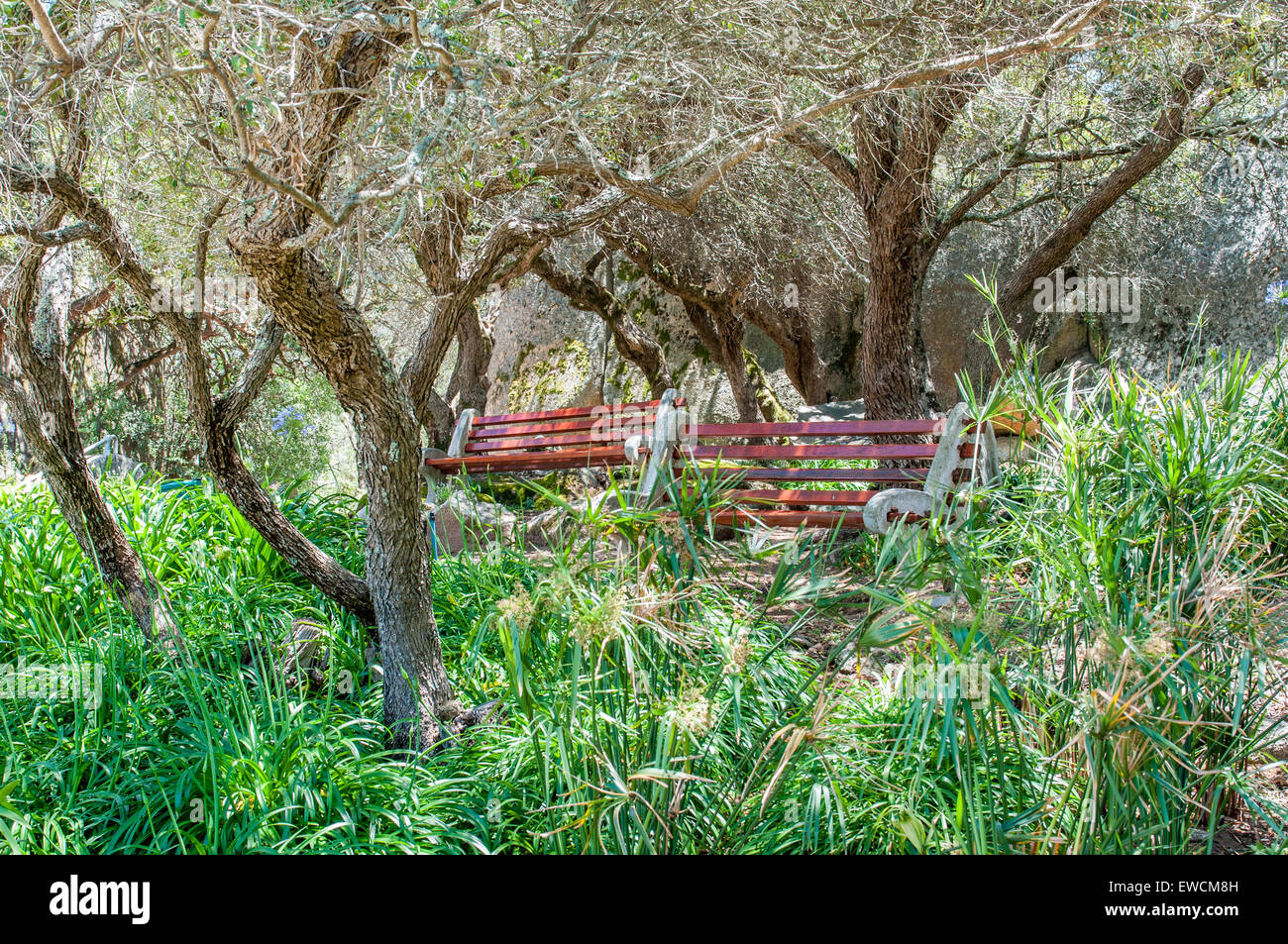 Shady resting spot at the Afrikaans Language Monument in Paarl, South Africa Stock Photo