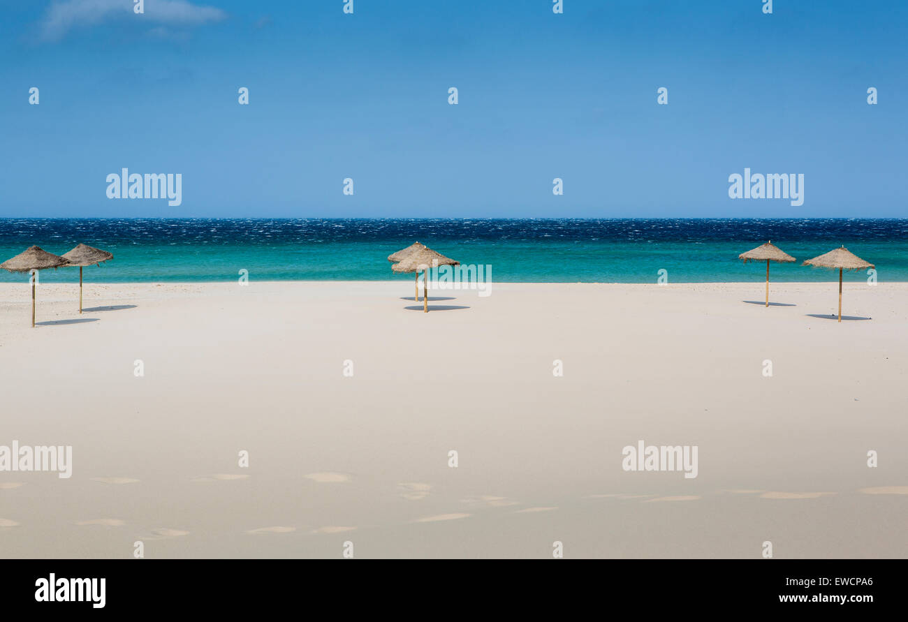 some umbrellas in the sand on the beach Stock Photo - Alamy
