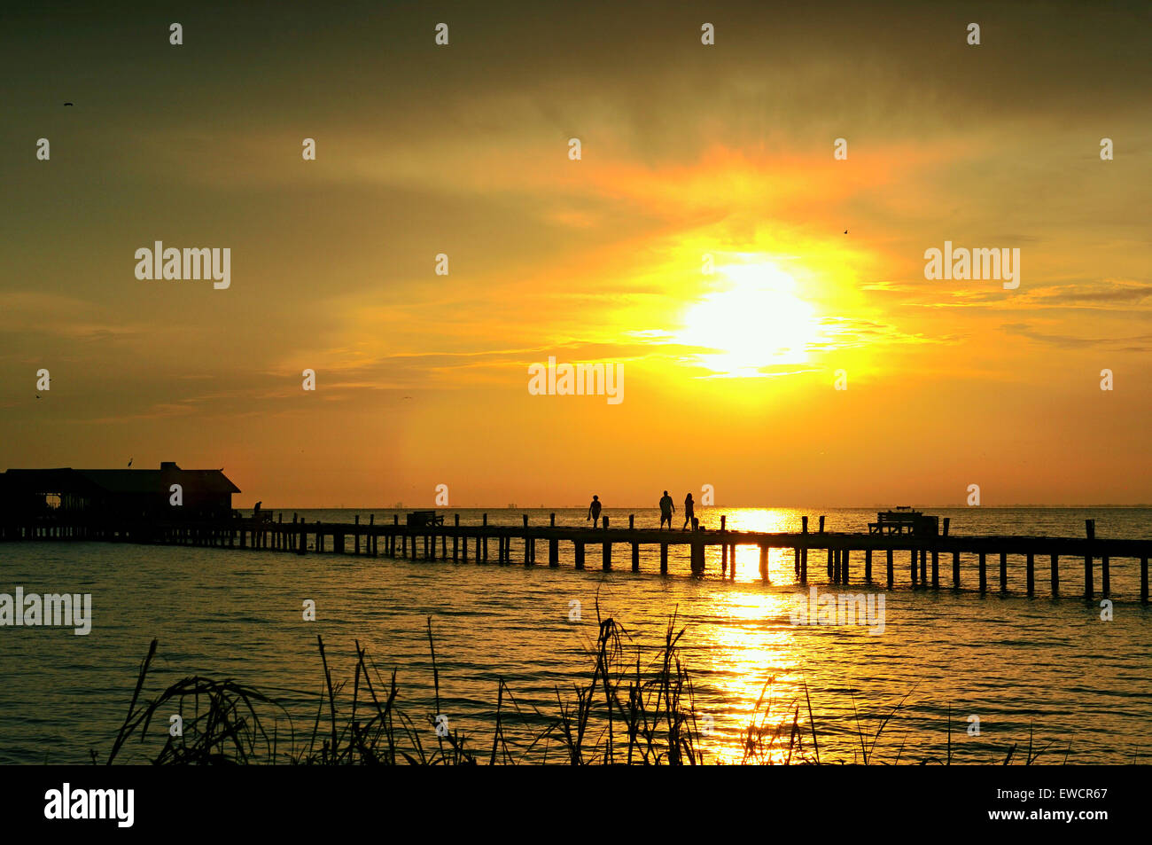 Anna Maria Island, Florida, USA. 23rd June 2015. Another Day in paradise starts at the City Pier. A calm start after yesterday's storms Stock Photo