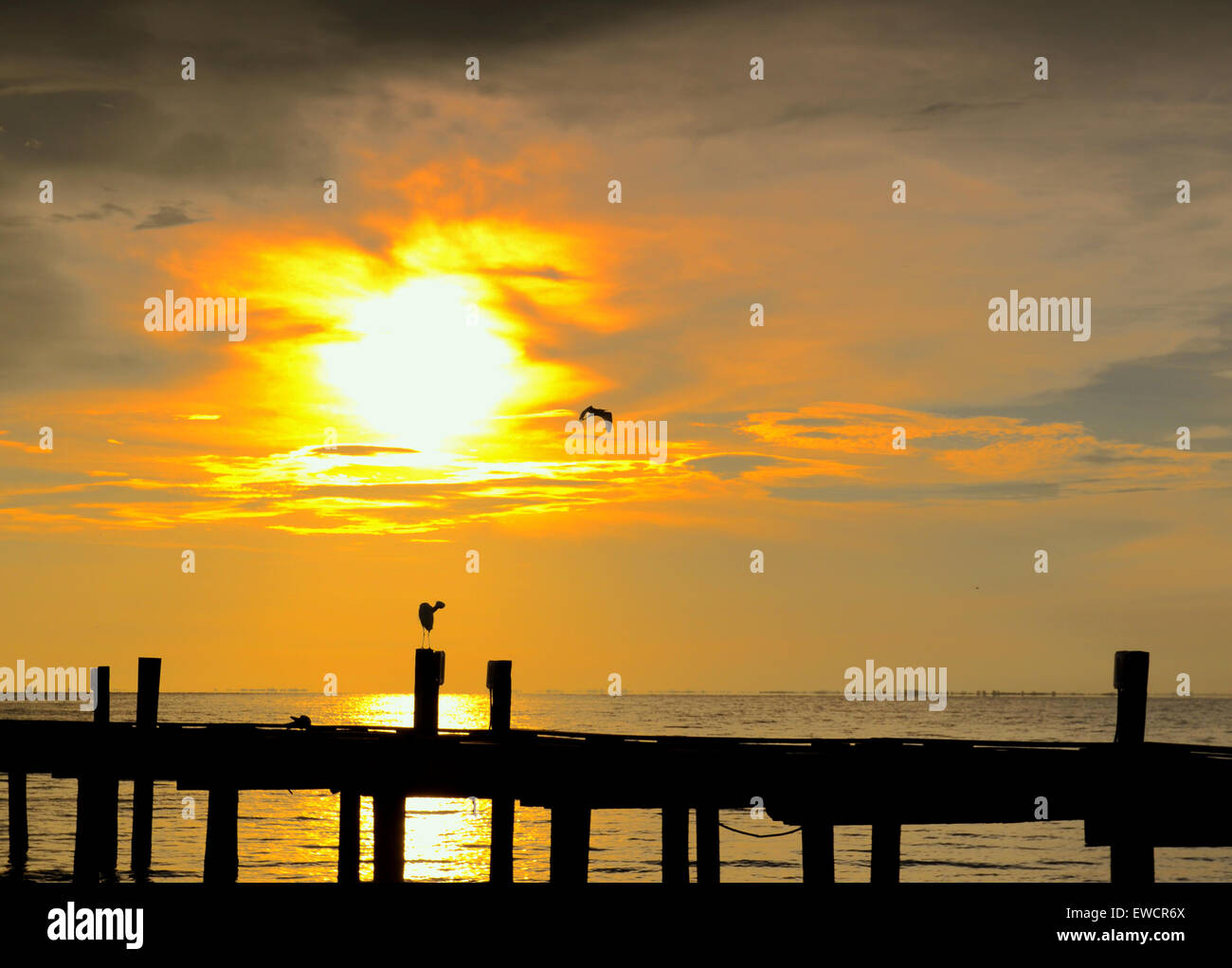 Anna Maria Island, Florida, USA. 23rd June 2015. Another Day in paradise starts at the City Pier. A calm start after yesterday's storms Stock Photo