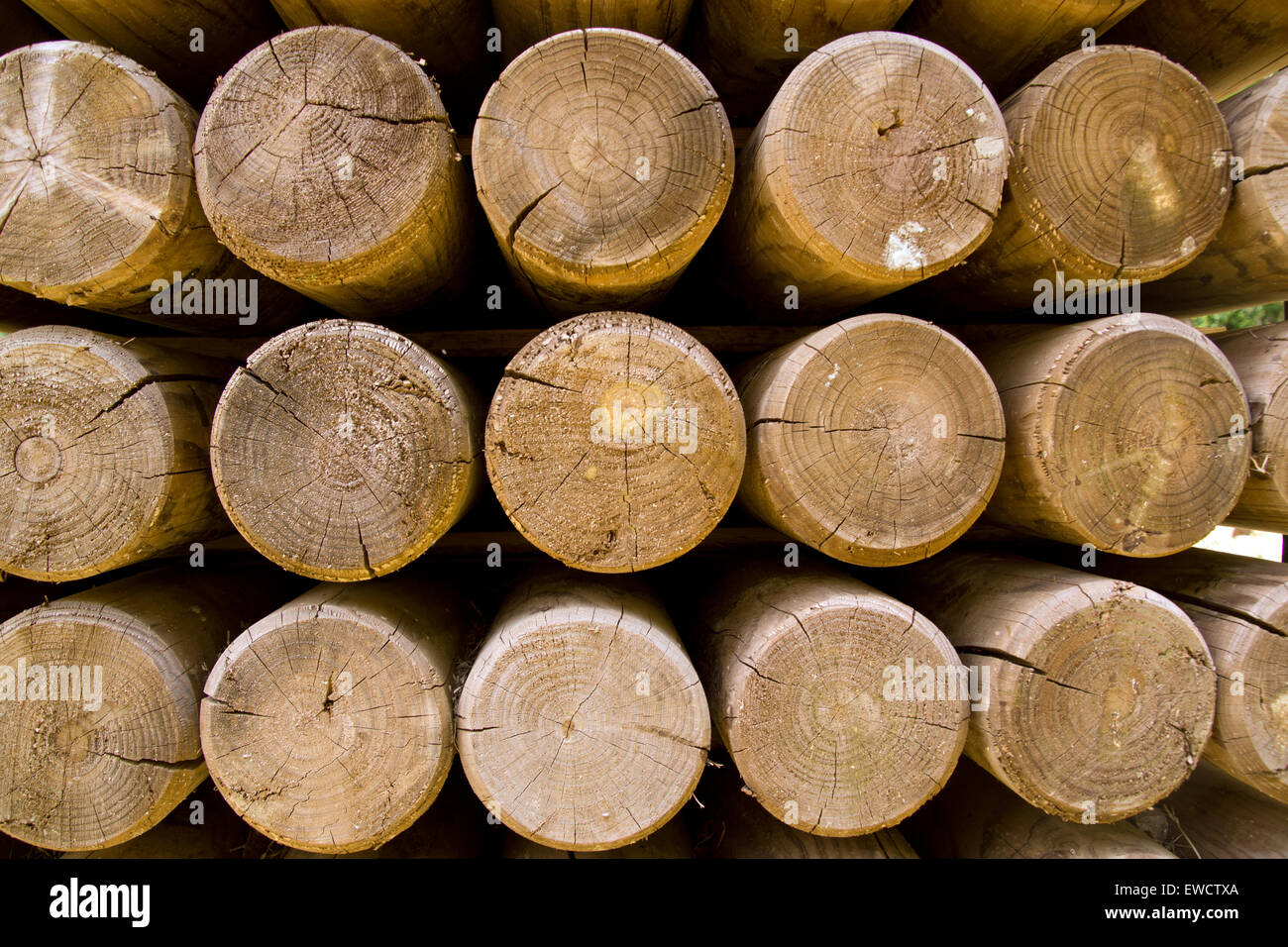 Wall of stacked wood logs showing natural discoloration Stock Photo