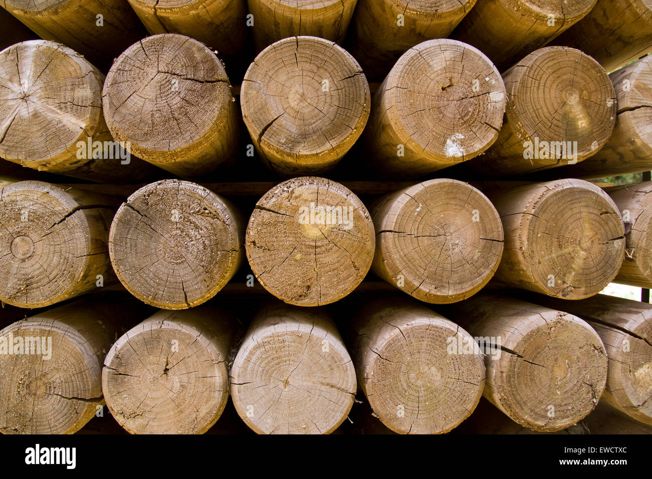 Wall of stacked wood logs showing natural discoloration Stock Photo