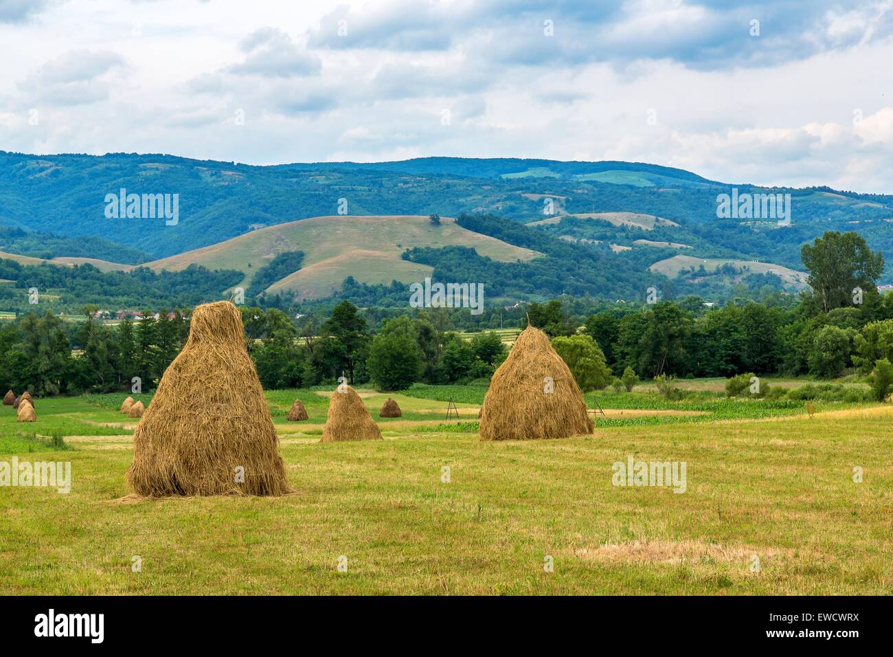 Landscape with bales of straw build manually by the farmer Stock Photo ...