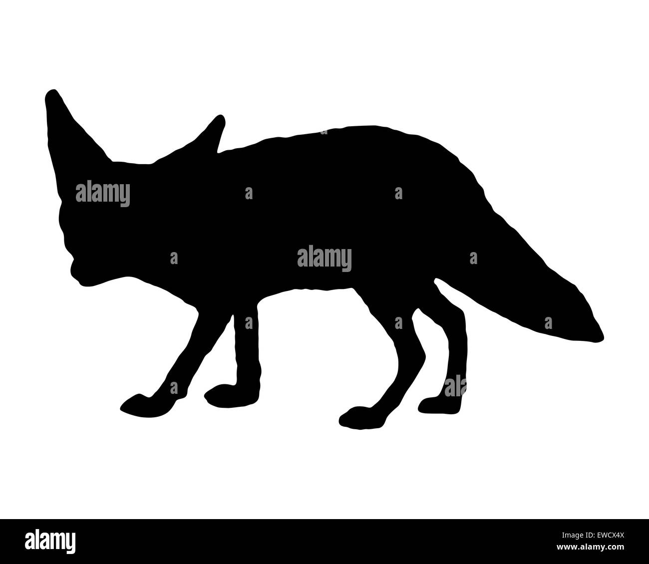 Fox north Black and White Stock Photos & Images - Alamy