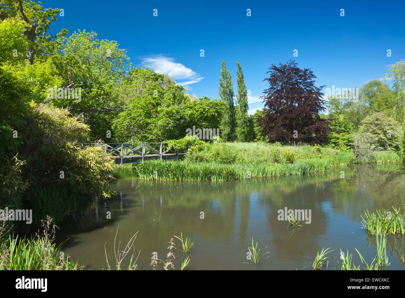 Wooden bridge across a river. Stock Photo