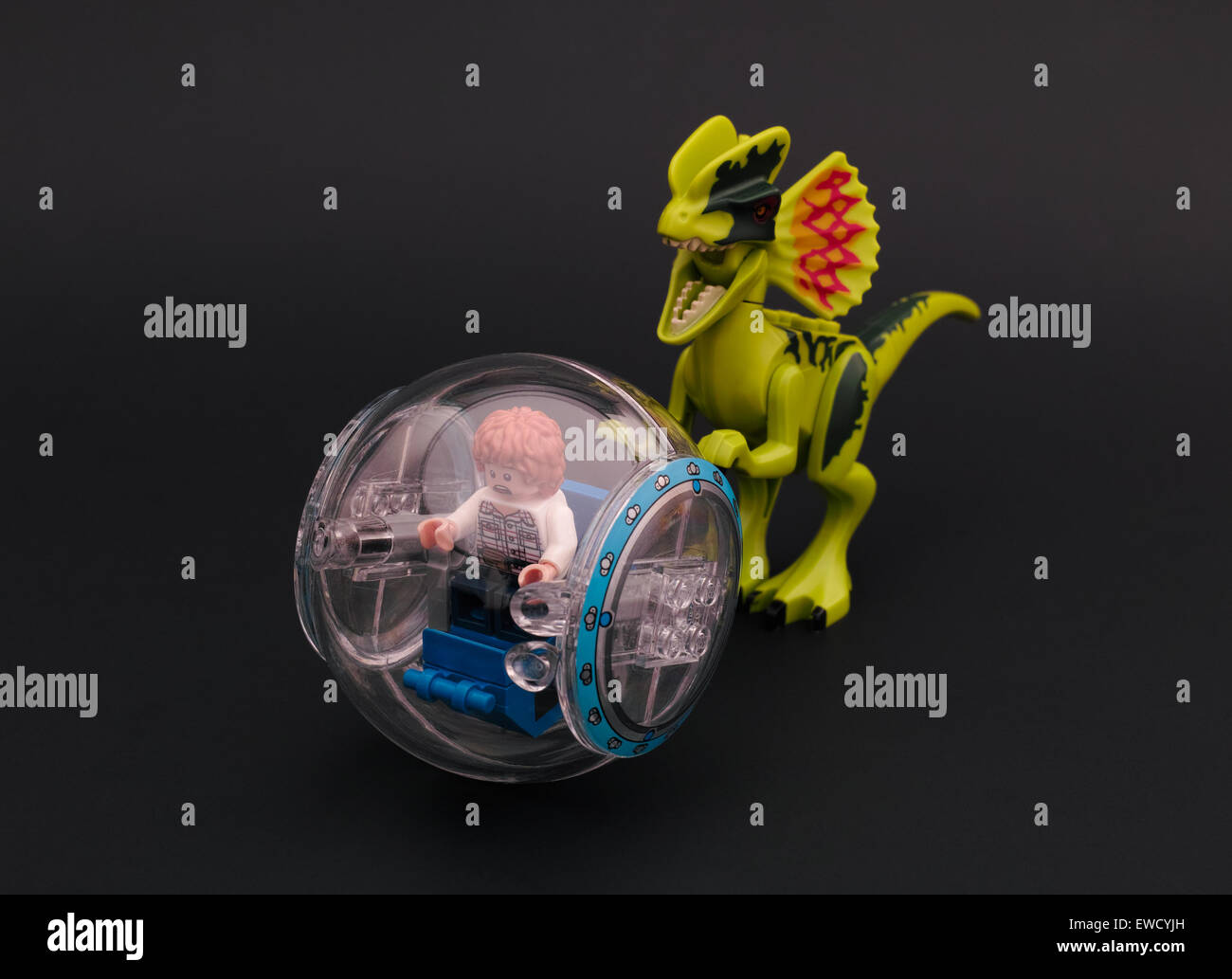 Tambov, Russian Federation - June 23, 2015 Lego Jurassic park. Gray minifigure in a gyrosphere being chased by a dilophosaurus. Stock Photo