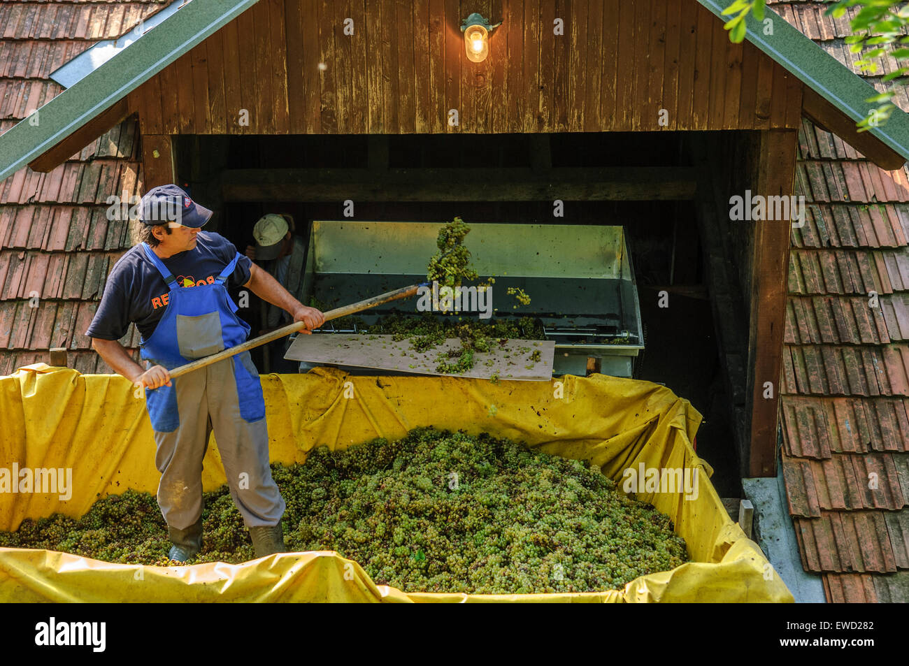 The Crnko winery. 'Slovenian Hills'. Slovenia Stock Photo