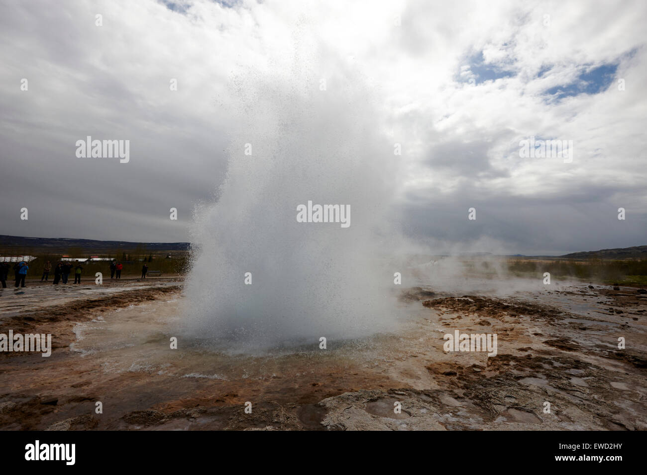 strokkur geyser erupting at geyser geothermal site Geysir Iceland Stock Photo