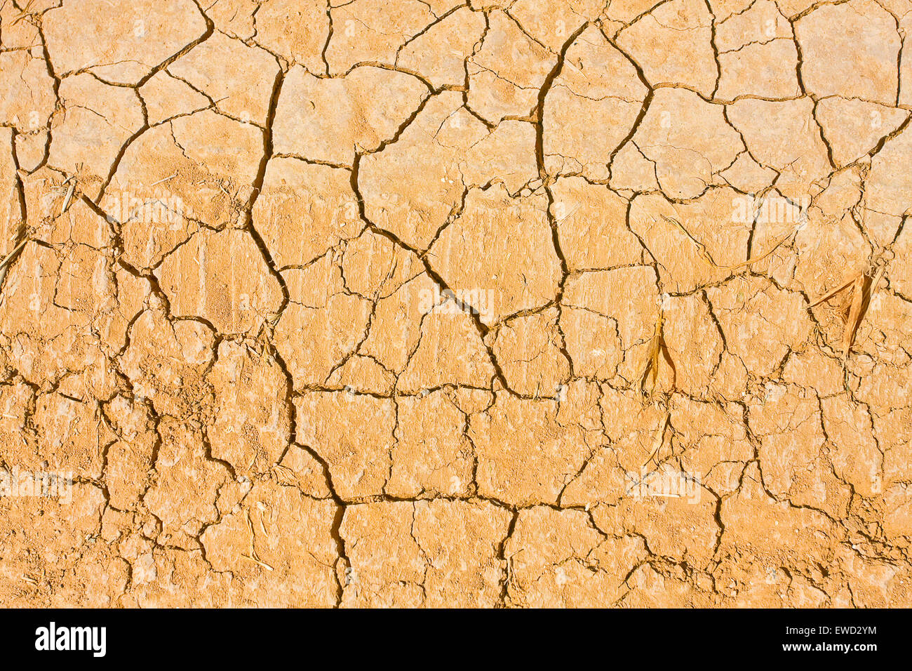 Dry soil background with deep cracks - environment concept Stock Photo