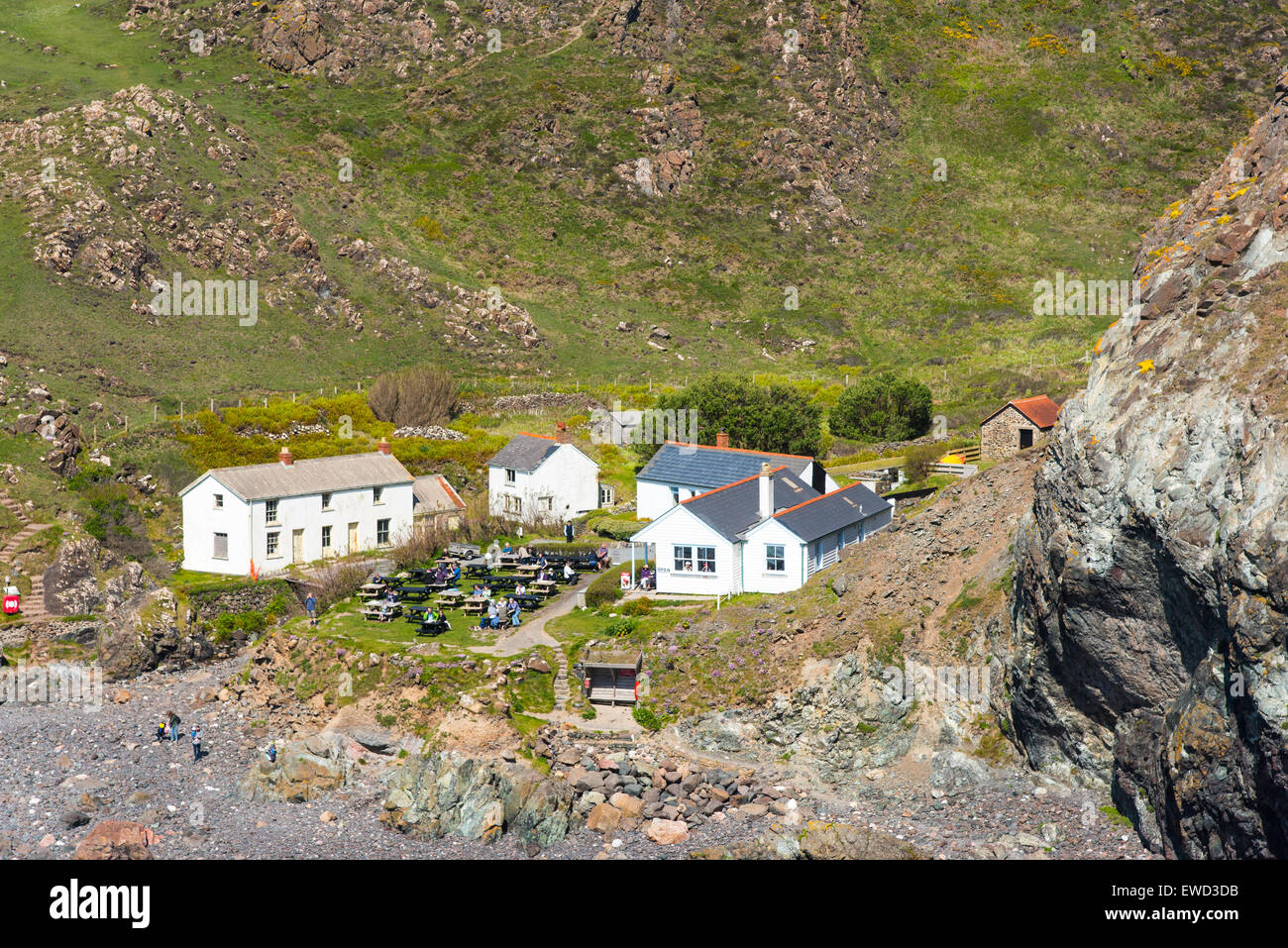 Cottages And Cafe At Kynance Cove Cornwall Uk Stock Photo