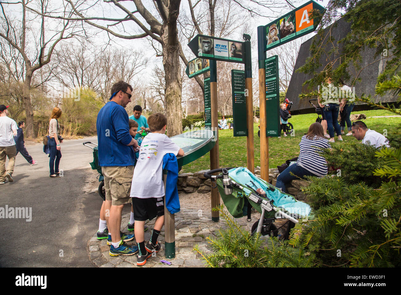 BRONX, NEW YORK - APRIL 14, 2014: View on Bronx Zoo with visitors viewing park map. Stock Photo