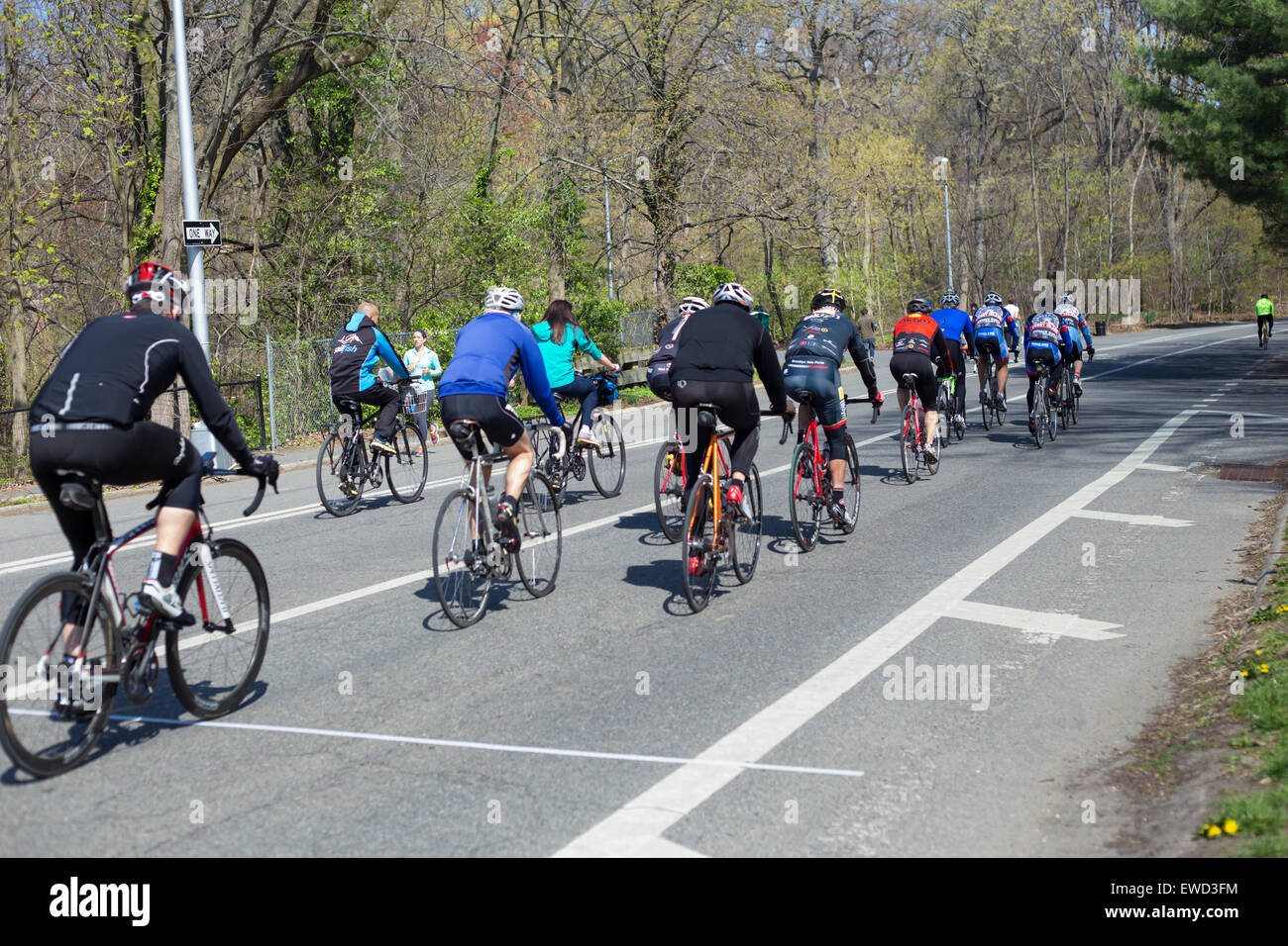 NEW YORK CITY APRIL 25, 2014 View of cyclists riding along bike lane