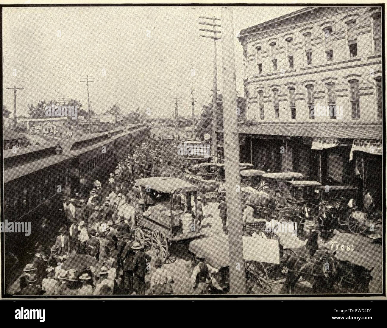 A historical image from the year 1902, possibly related to the McLaurin ...