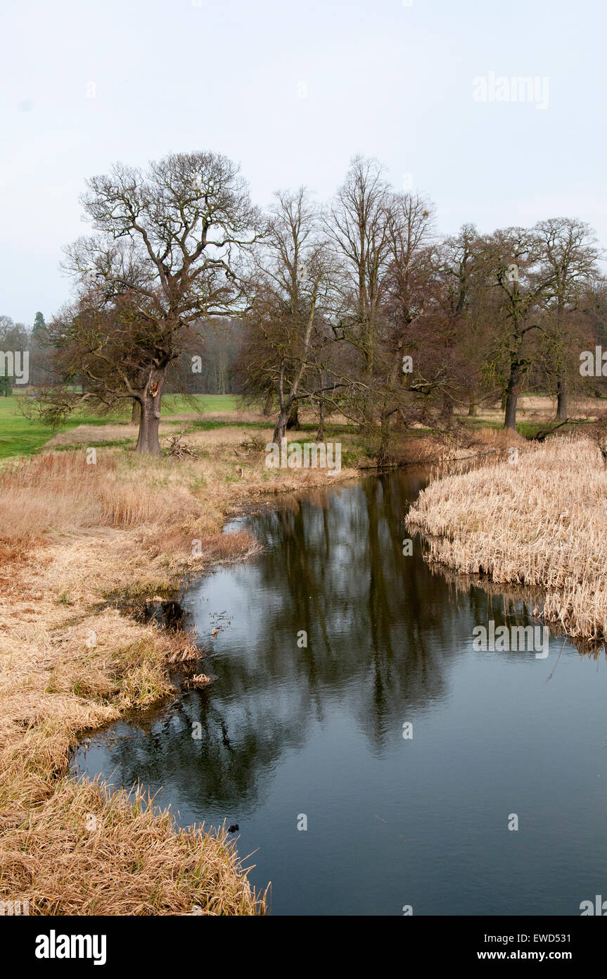 The Water Meadows at the Thoresby Park Estate, Ollerton Nottinghamshire