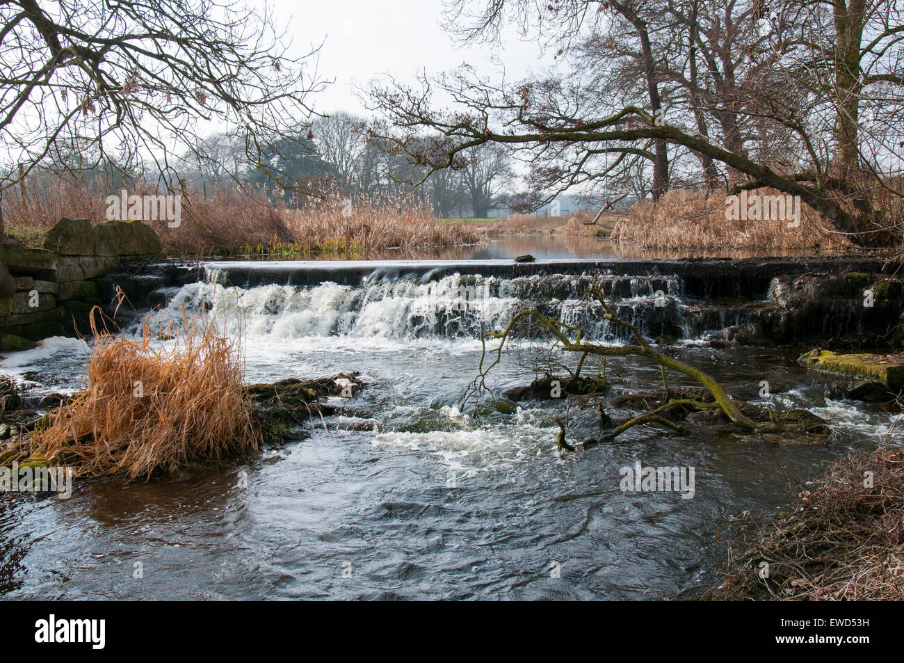 The Water Meadows at the Thoresby Park Estate, Ollerton Nottinghamshire
