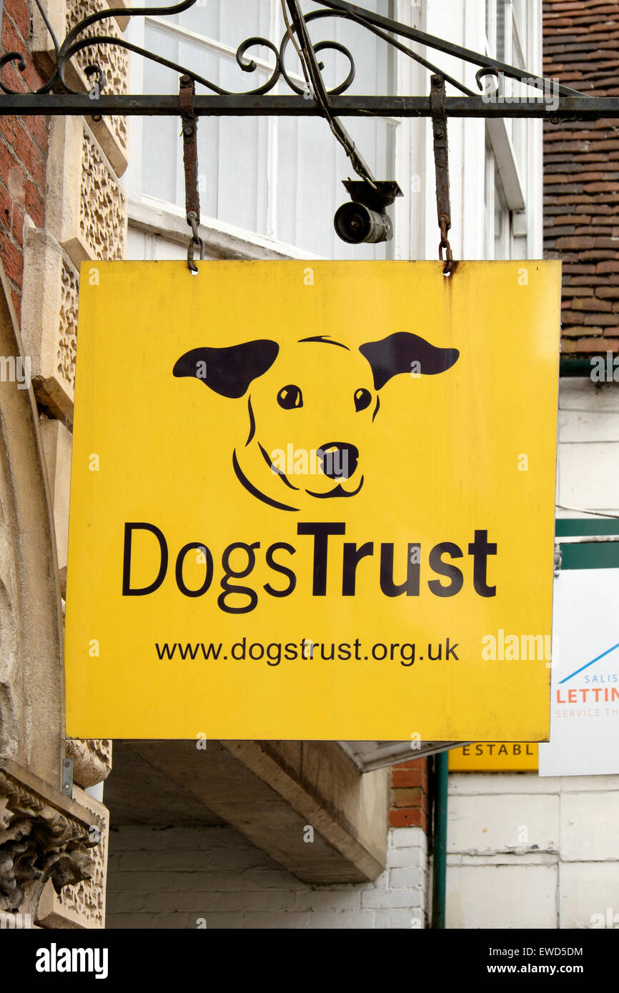 Dogs Trust charity sign with graphic of dogs face and web site address