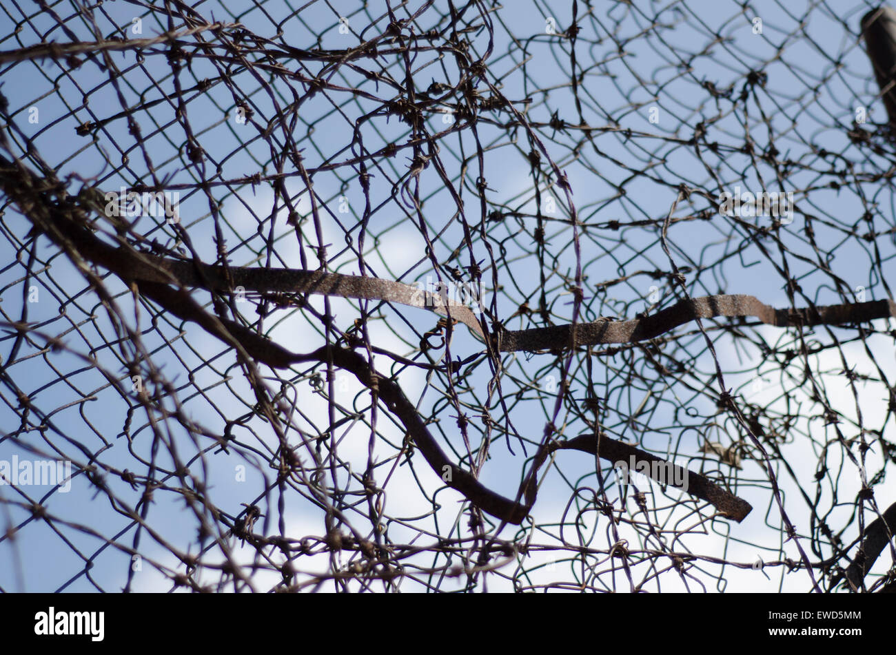 Razor wire injury hires stock photography and images Alamy