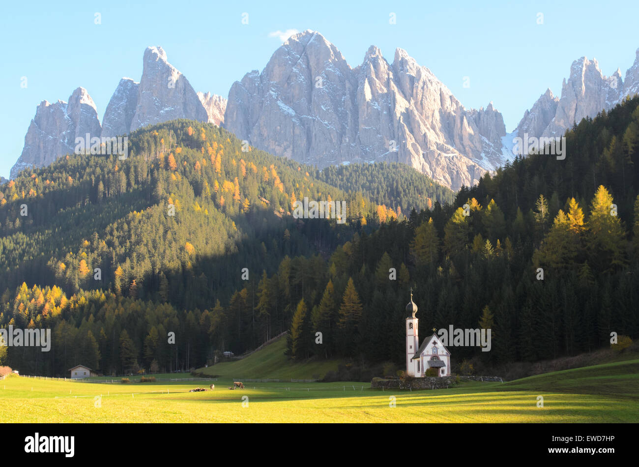 The church of San Giovanni in Ranui (Sankt Johann) in front of the Geisler or Odle dolomites mountain peaks in Santa Maddalena. Stock Photo
