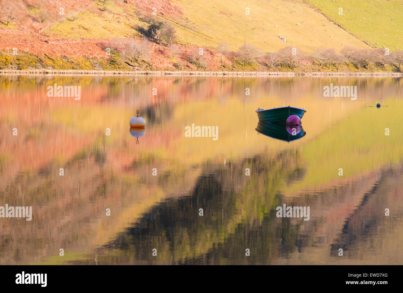 talellyn lake reflecting hillside Stock Photo