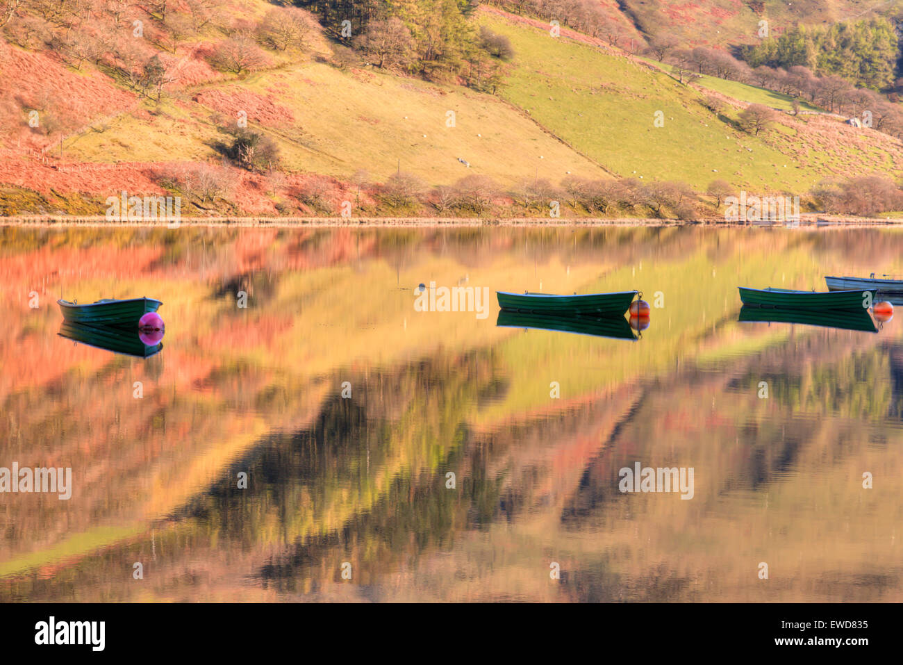 Boats on a calm Talellyn lake Stock Photo