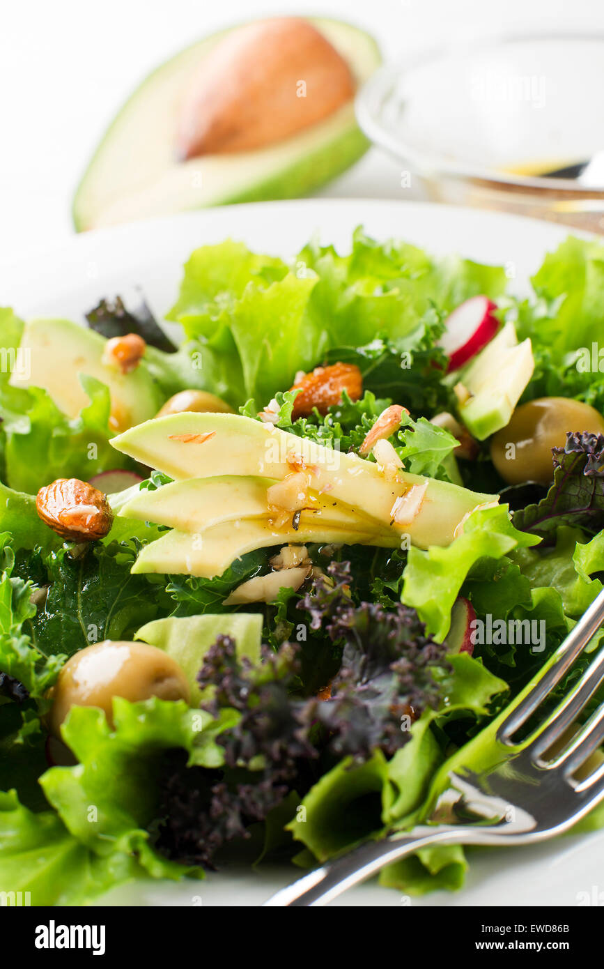 Fresh mixed green salad with avocado close up Stock Photo