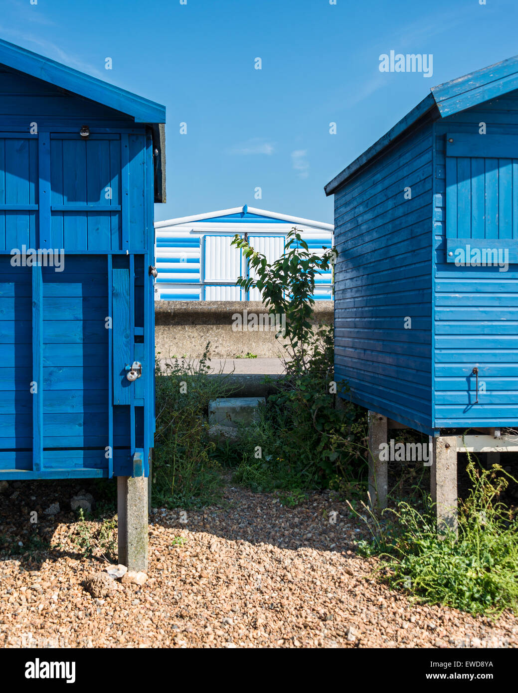 White and blue striped beach hut seen behind pair of blue beach huts Stock Photo