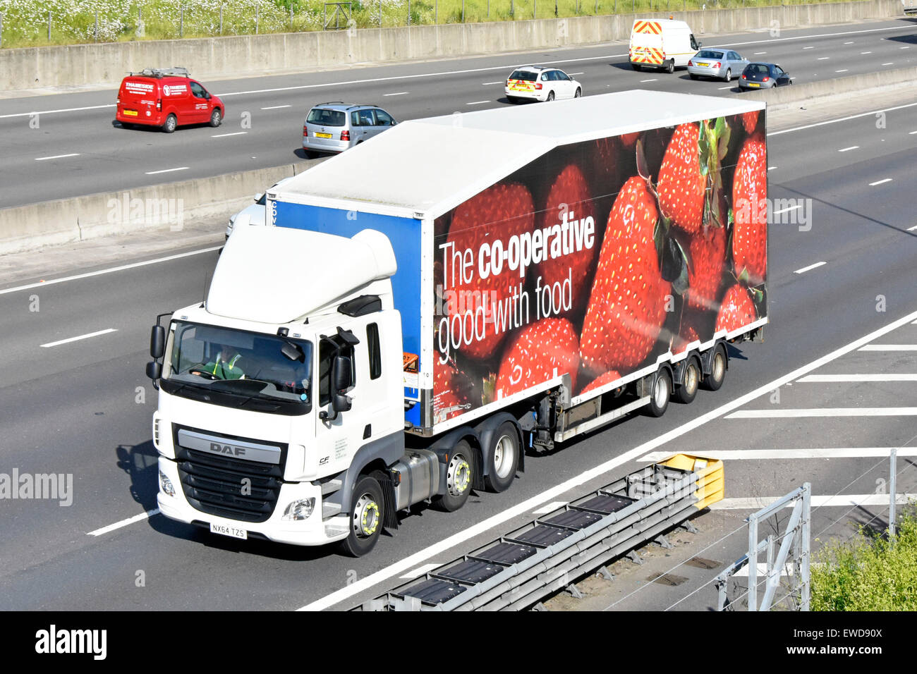 Co op supermarket food store supply chain delivery hgv truck lorry & articulated trailer strawberries graphics driving along motorway England UK Stock Photo
