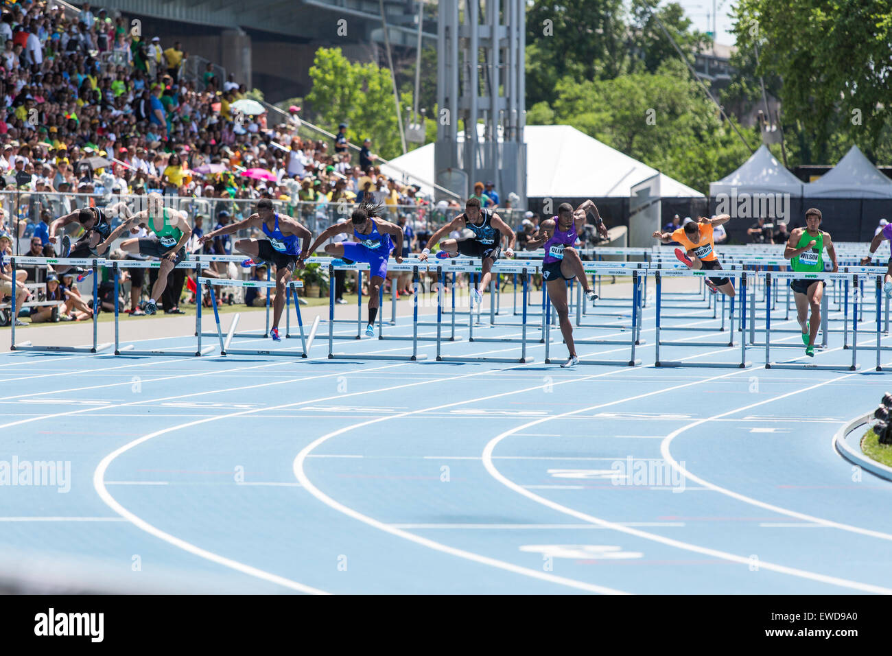 The Men's 100m Hurdles at the 2015 Adidas NYC Diamond League Grand Prix ...