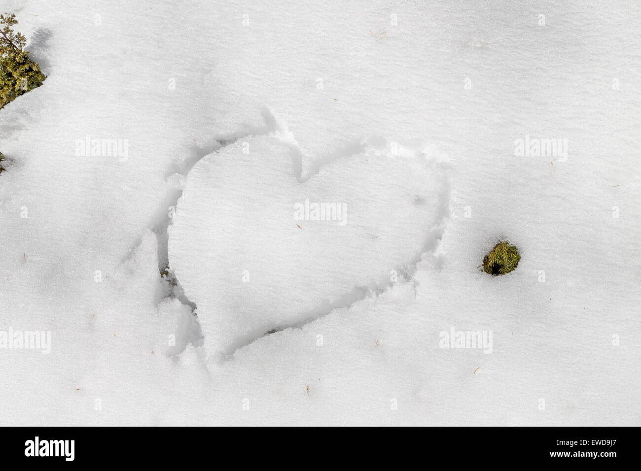 A heart drawn by hand in the fresh snow Stock Photo - Alamy