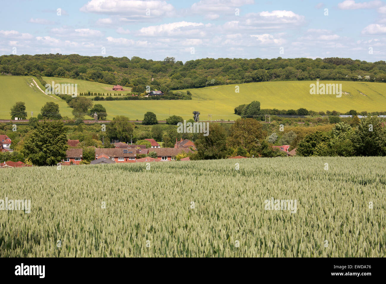 Chiltern Hills Hertfordshire High Resolution Stock Photography and
