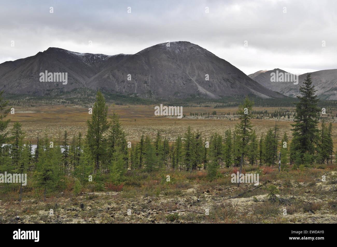 Autumn tundra on the background of mountains in Yakutia. Cloudy landscape in the route area 'Kolyma', Yakutsk - Magadan. Russia. Stock Photo