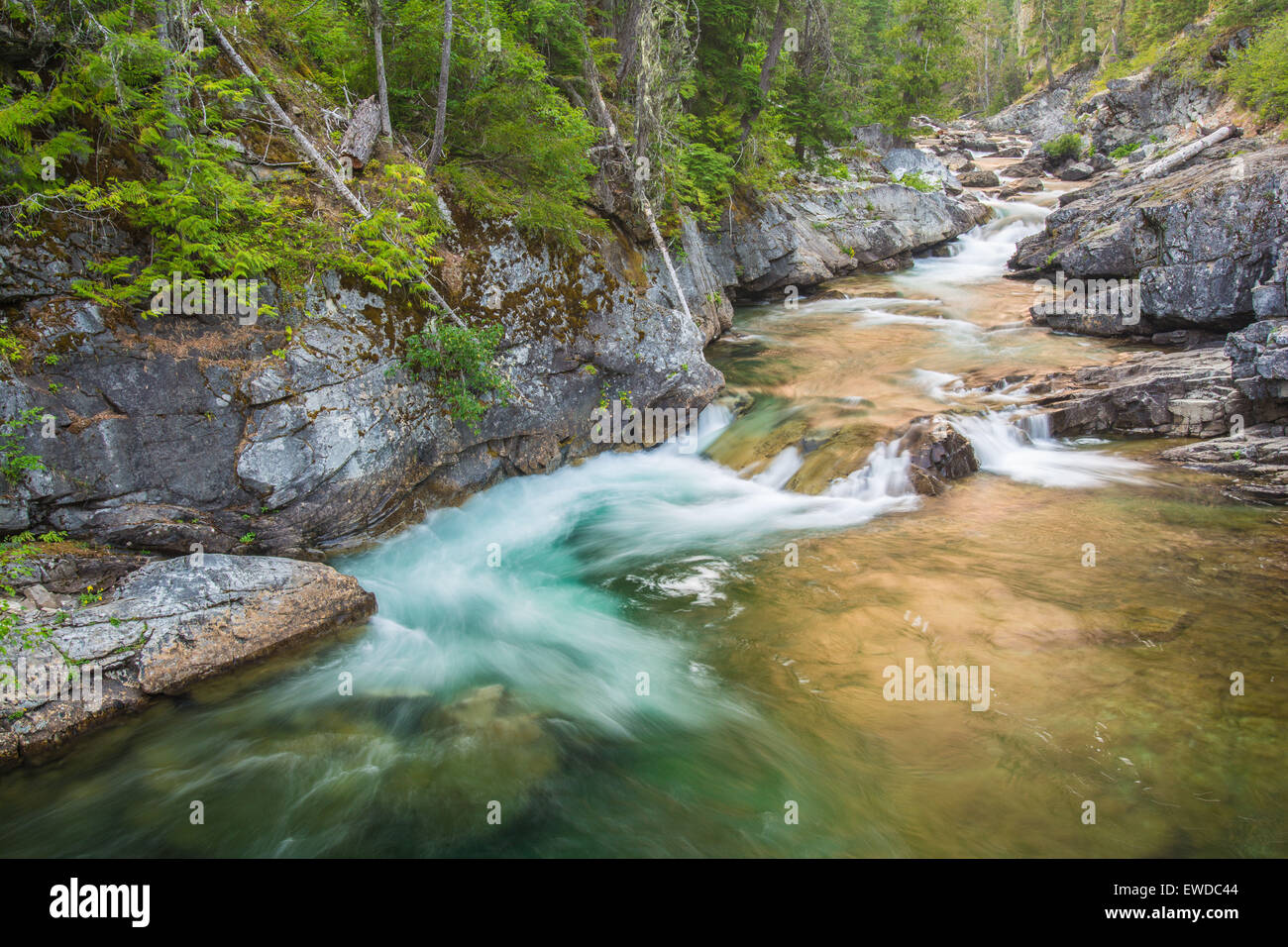 Cle Elum River, OkanoganWenatchee National Forest, Washington, USA