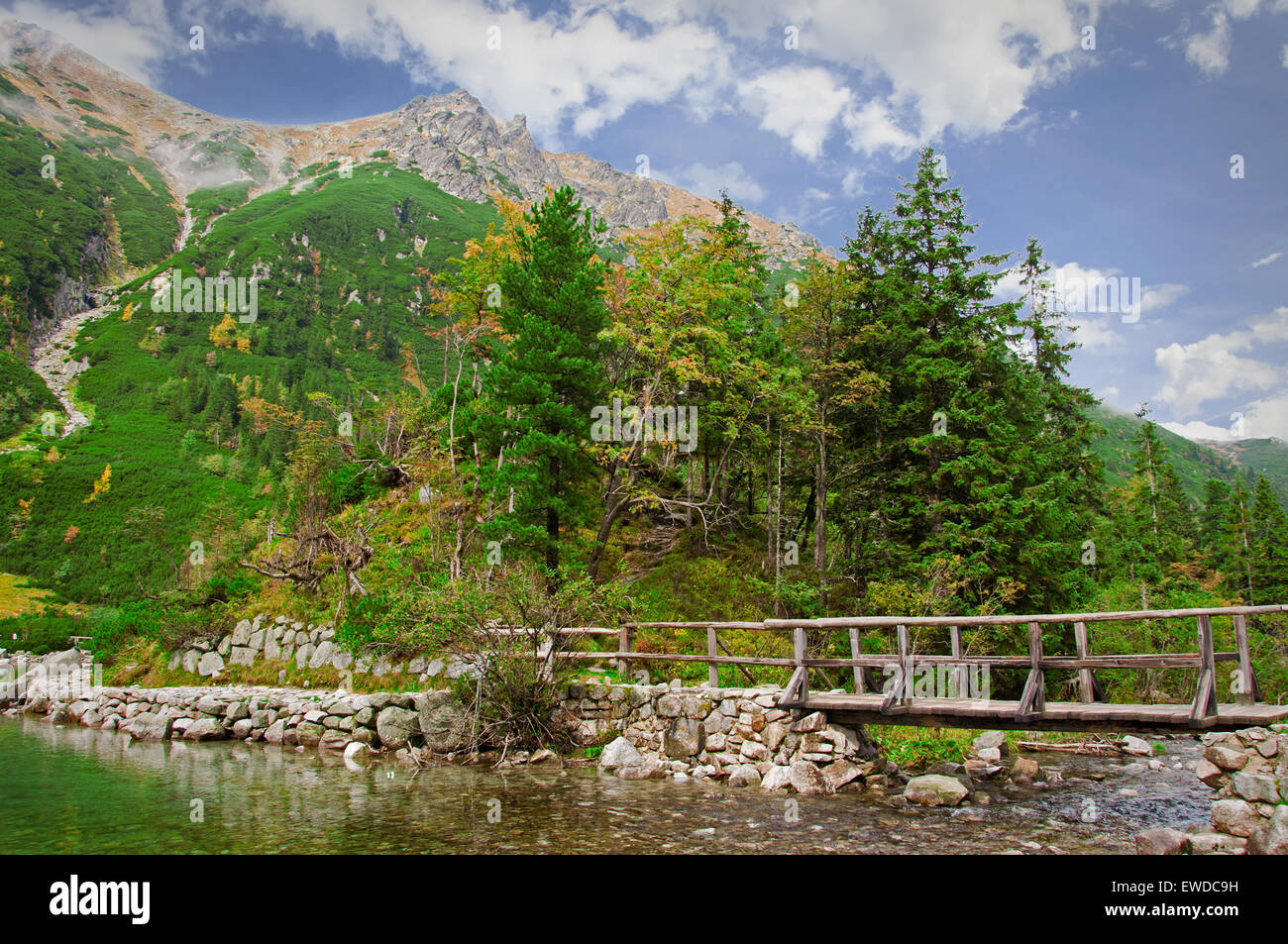 Sea forest mountains hi-res stock photography and images - Alamy