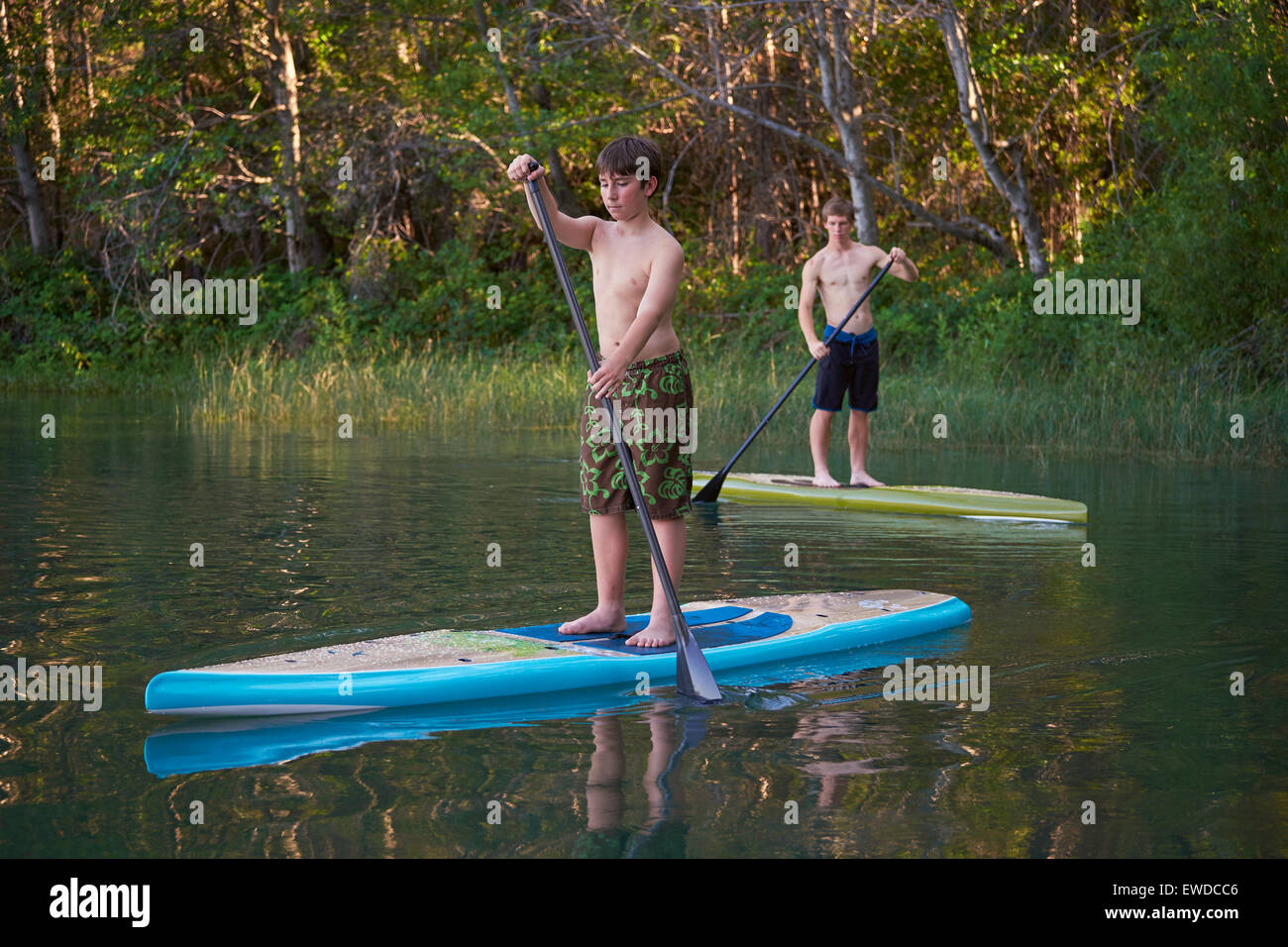 Two boys paddling stand up paddle boards on a small, secluded lake in Northern California. Stock Photo