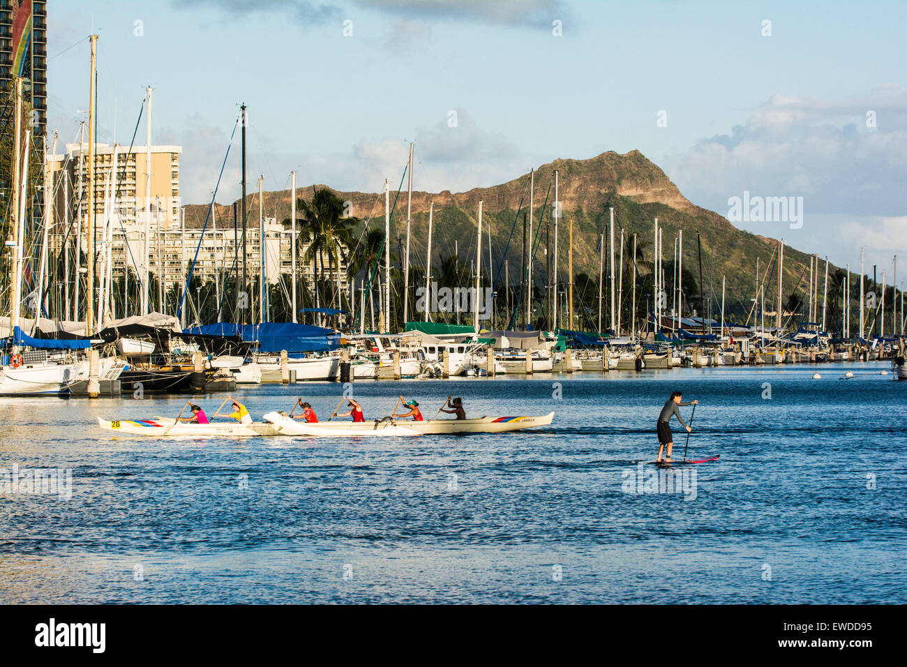Outrigger Canoe team & Stand-Up Paddle Boarder in Ala Wai Boat Harbor, Diamond Head in the background, Waikiki, Honolulu, Oahu,  Stock Photo