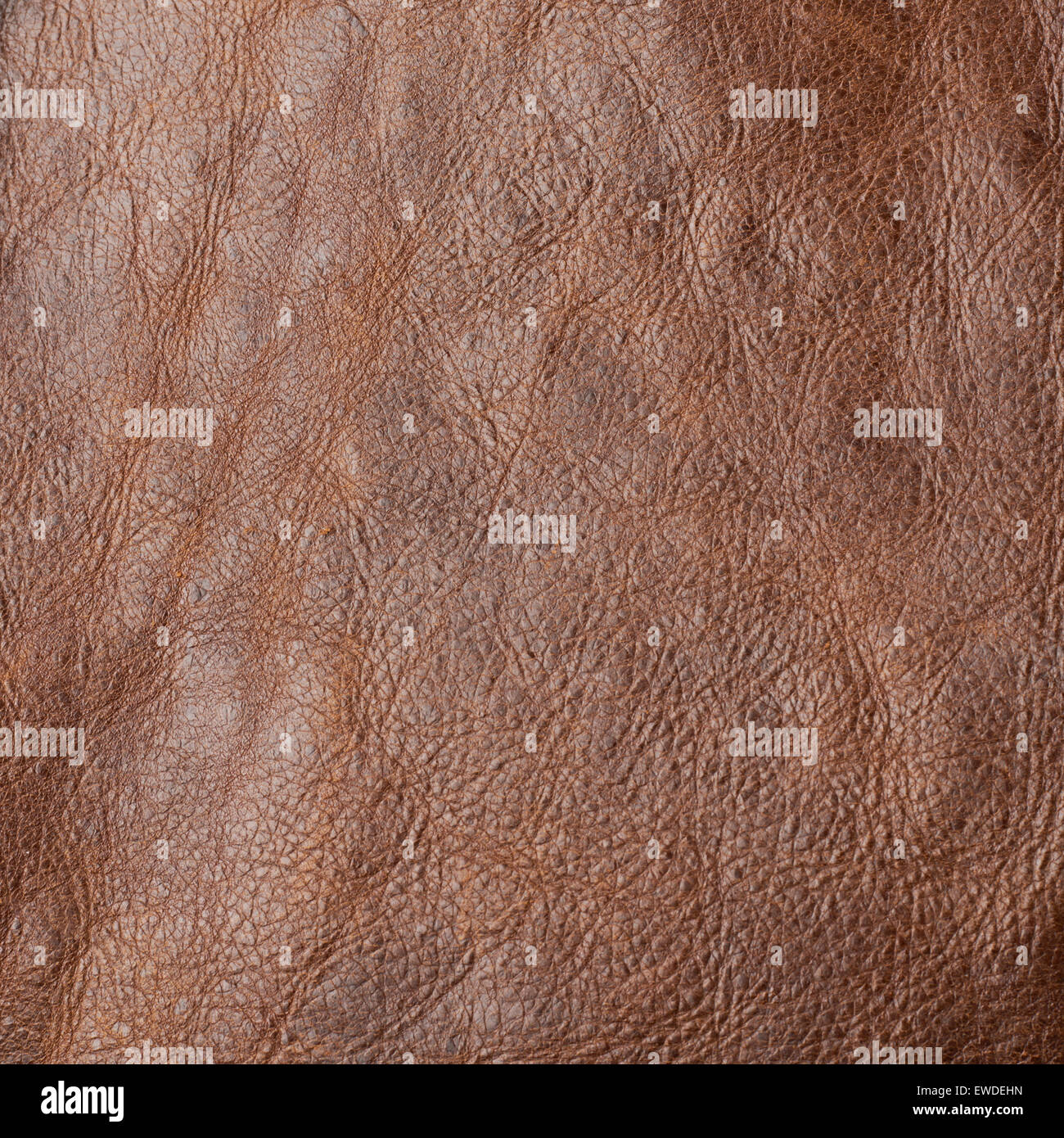 Fragment of a brown leather texture Stock Photo