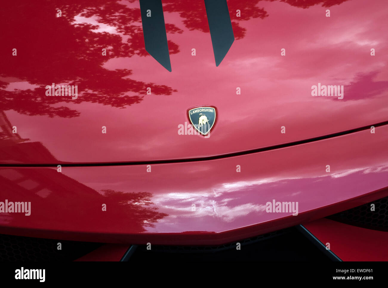 Detail of Red Lamborghini showing hood and logo and black strips Stock Photo