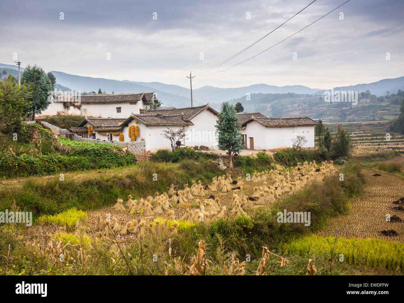 Rural landscape with fields and houses Stock Photo - Alamy
