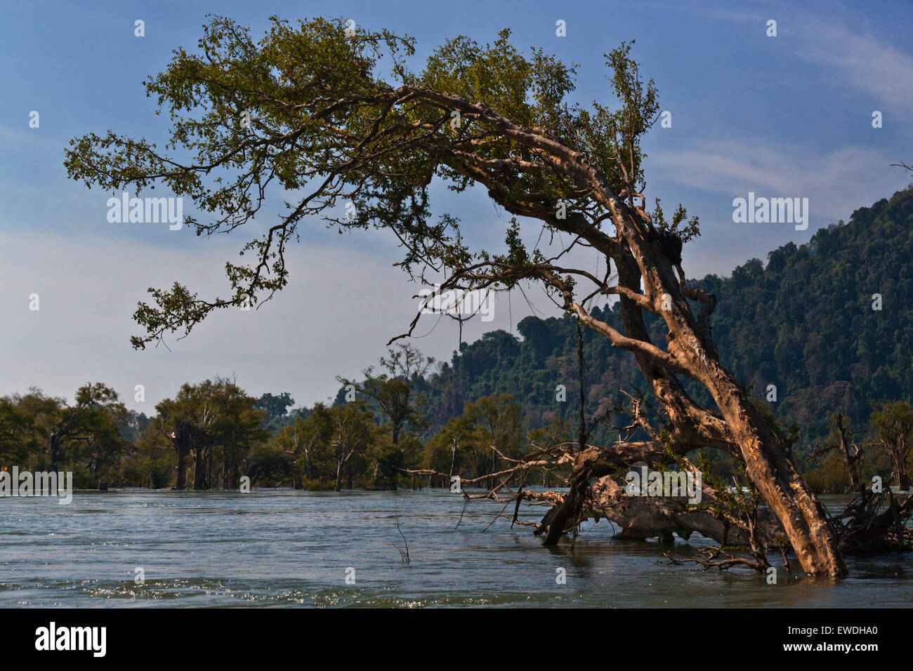 CAMBODIA is seen from the MEKONG RIVER in the 4 Thousand Islands (Si Phan Don) - SOUTHERN, LAOS Stock Photo
