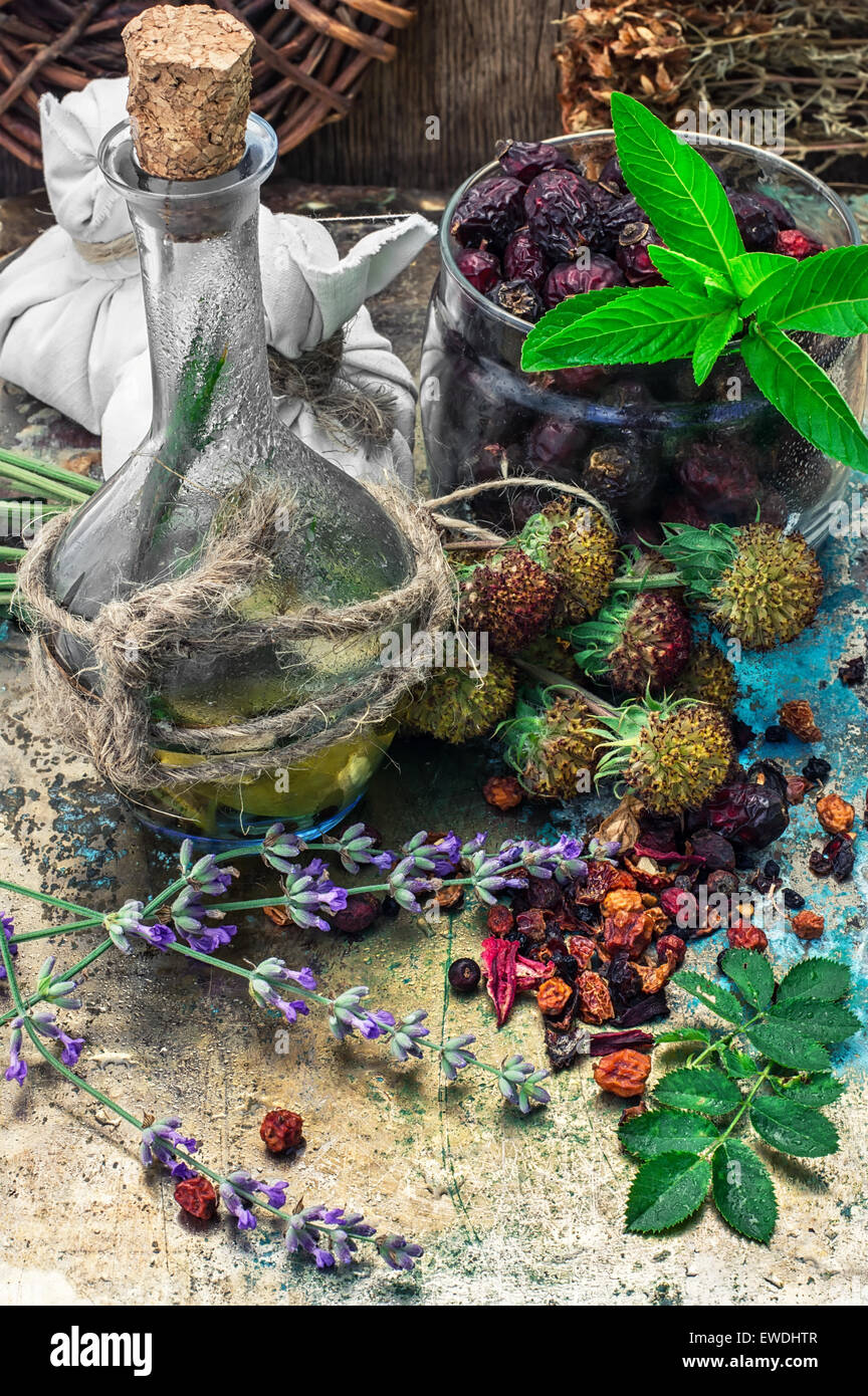 Collected medicinal plants hi-res stock photography and images - Alamy