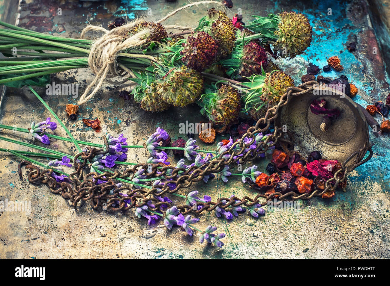 Collected medicinal plants hi-res stock photography and images - Alamy