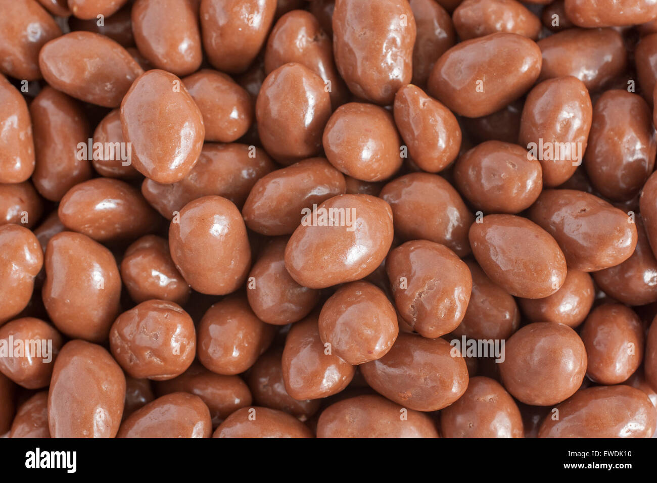 Peanuts covered in a milk chocolate coating Stock Photo