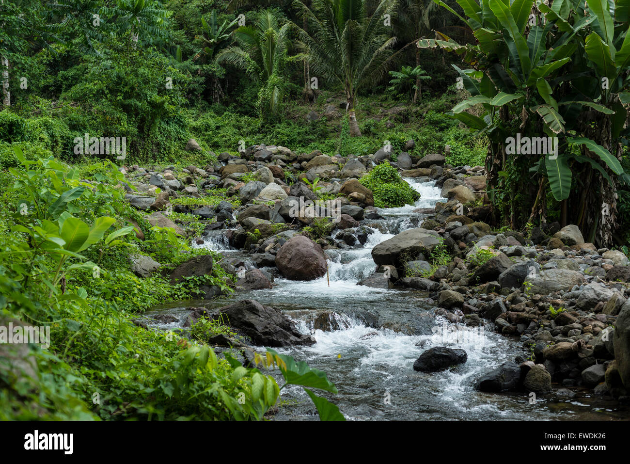 Waterfalls and basins of the Saai cold springs in Camiguin, Philippines ...