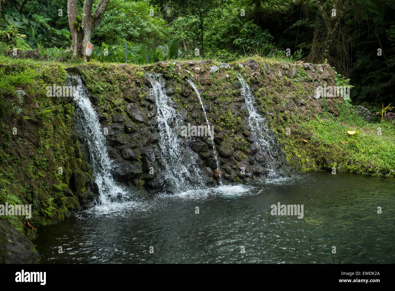 Waterfalls and basins of the Saai cold springs in Camiguin, Philippines ...