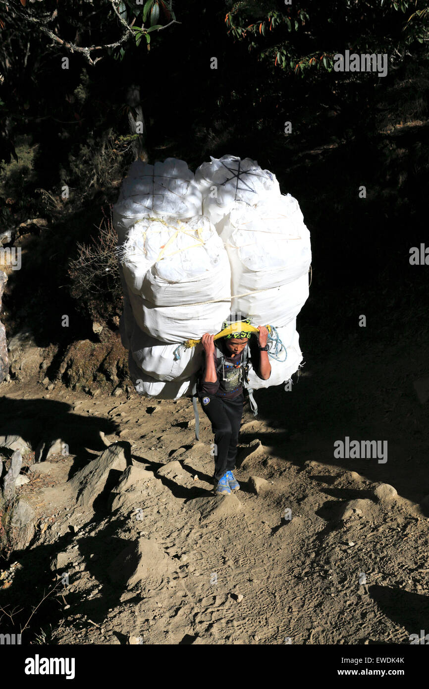 Nepalese Sherpa carrying a load, Namche Bazar Pass, Sagarmatha National Park, UNESCO World Heritage Site, Solu-Khumbu district Stock Photo