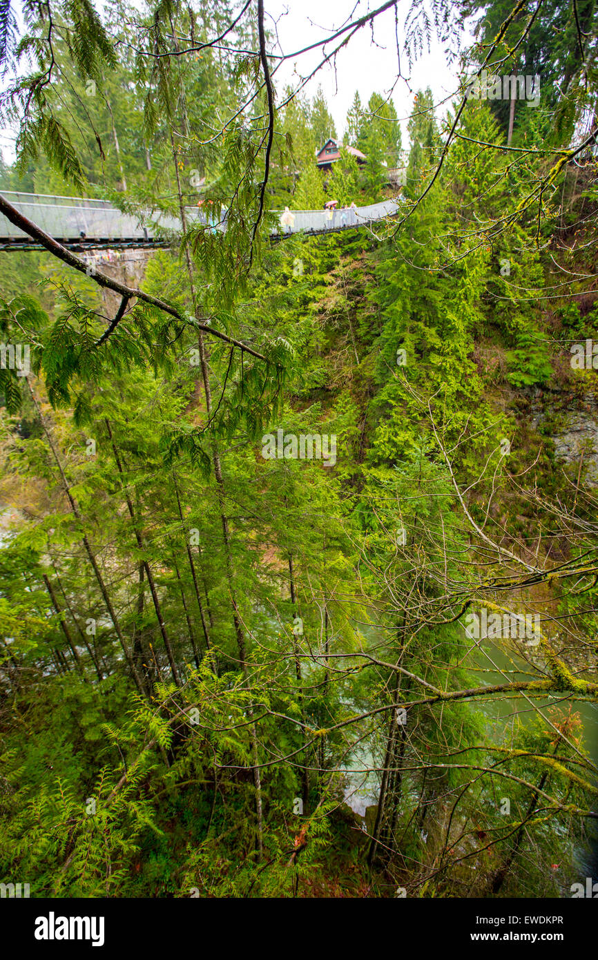 Suspension bridge in a rainforest at Capilano Suspension Bridge Park, Vancouver, British