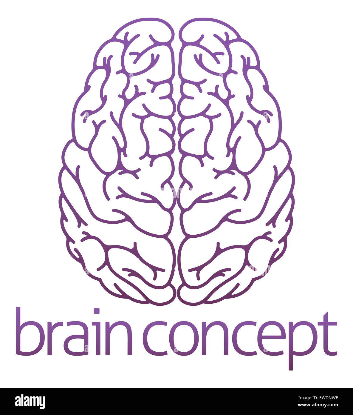 An abstract illustration of a brain concept design Stock Photo