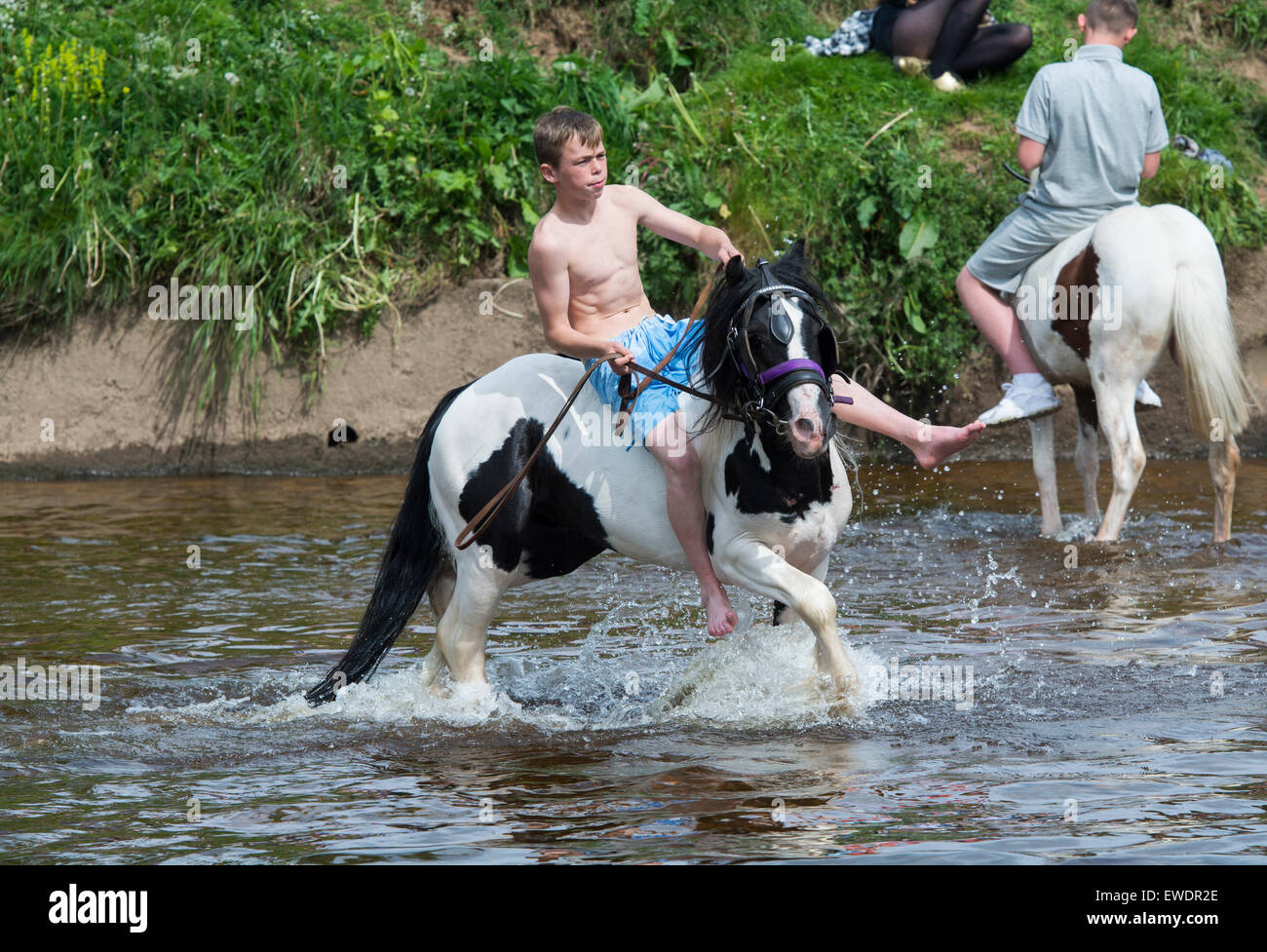 Horses being washed / ridden in the River Eden in Appleby at the Appleby Horse Fair 2015. Stock Photo